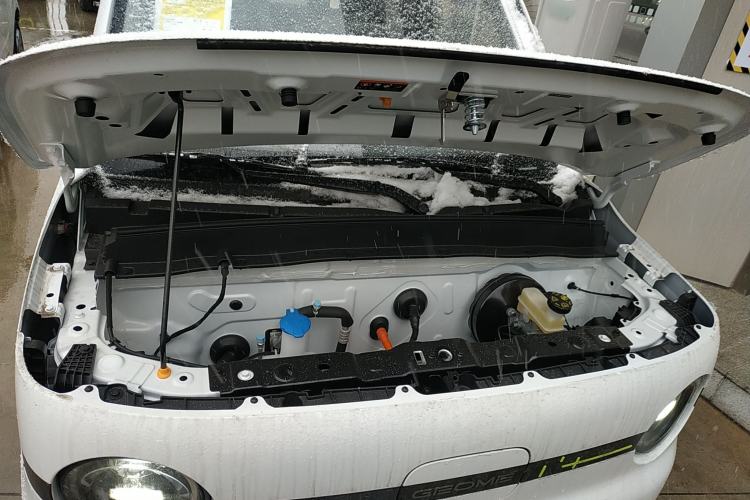 Used  Panda 2025 210 km – Yuanqi Bear
