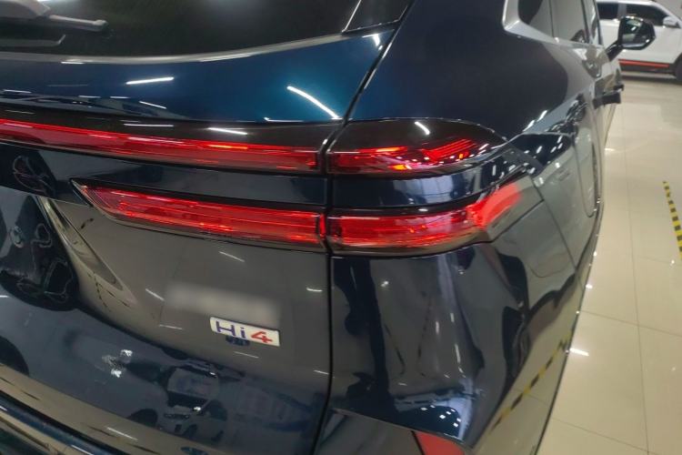 Used Wey Mocha New Energy 2024 Hi4 Four-Wheel Drive Long-Range Version
