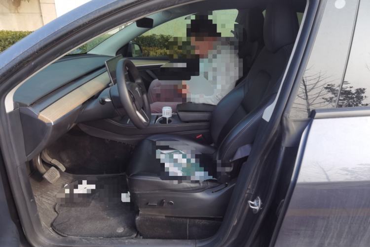 Used Tesla Model Y 2022 Revised Version Rear-Wheel Drive