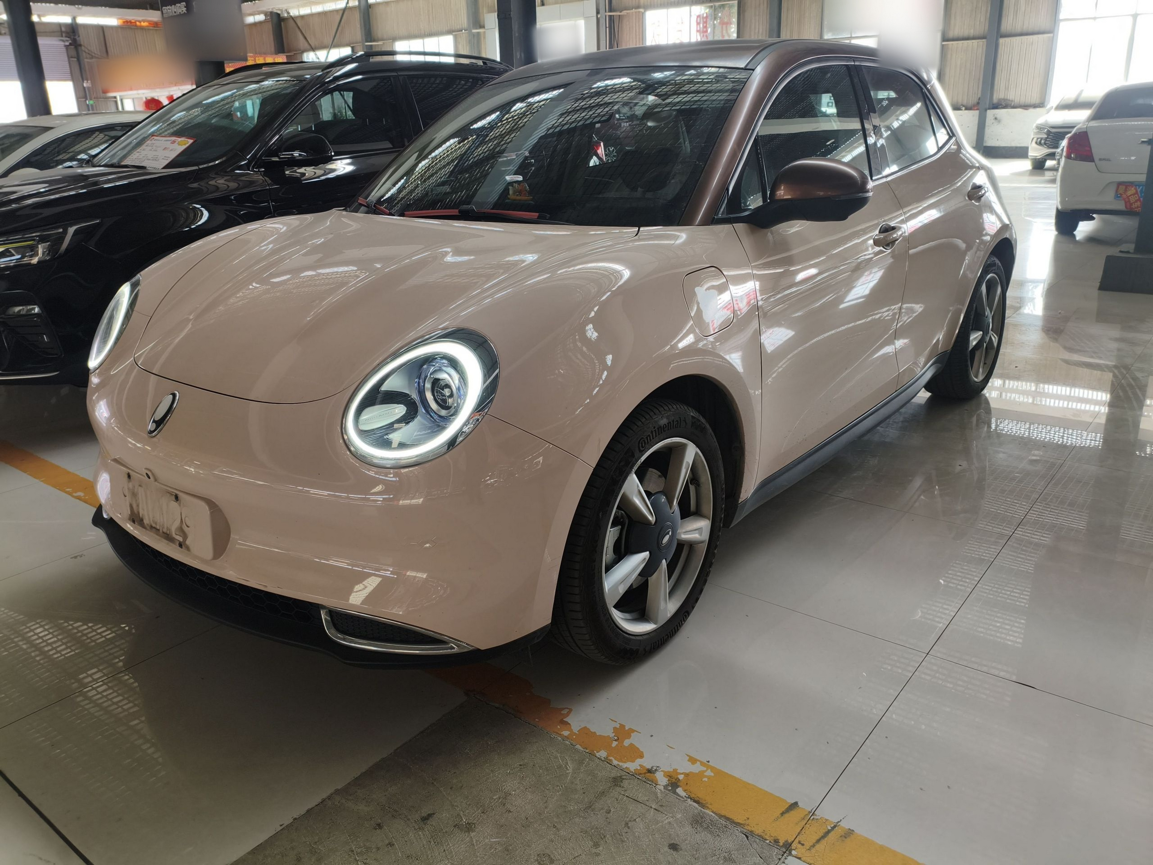 تحت مقدمة السيارة