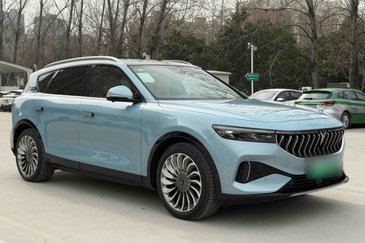 Used VOYAH FREE 2021 Two-Wheel Drive Standard Pure Electric City Edition
