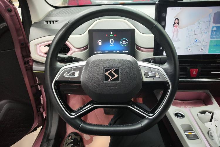 Used SOL E10X 2022 Flower Fairy Style Baby's Breath
