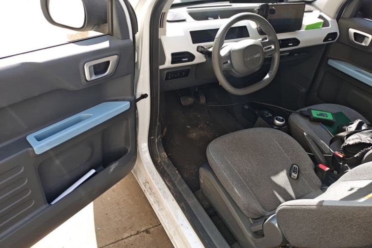 Used  Panda 2024 Panda Mini 200km Endurance Bear
