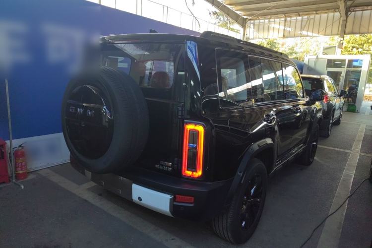 Used Haval Raptor New Energy 