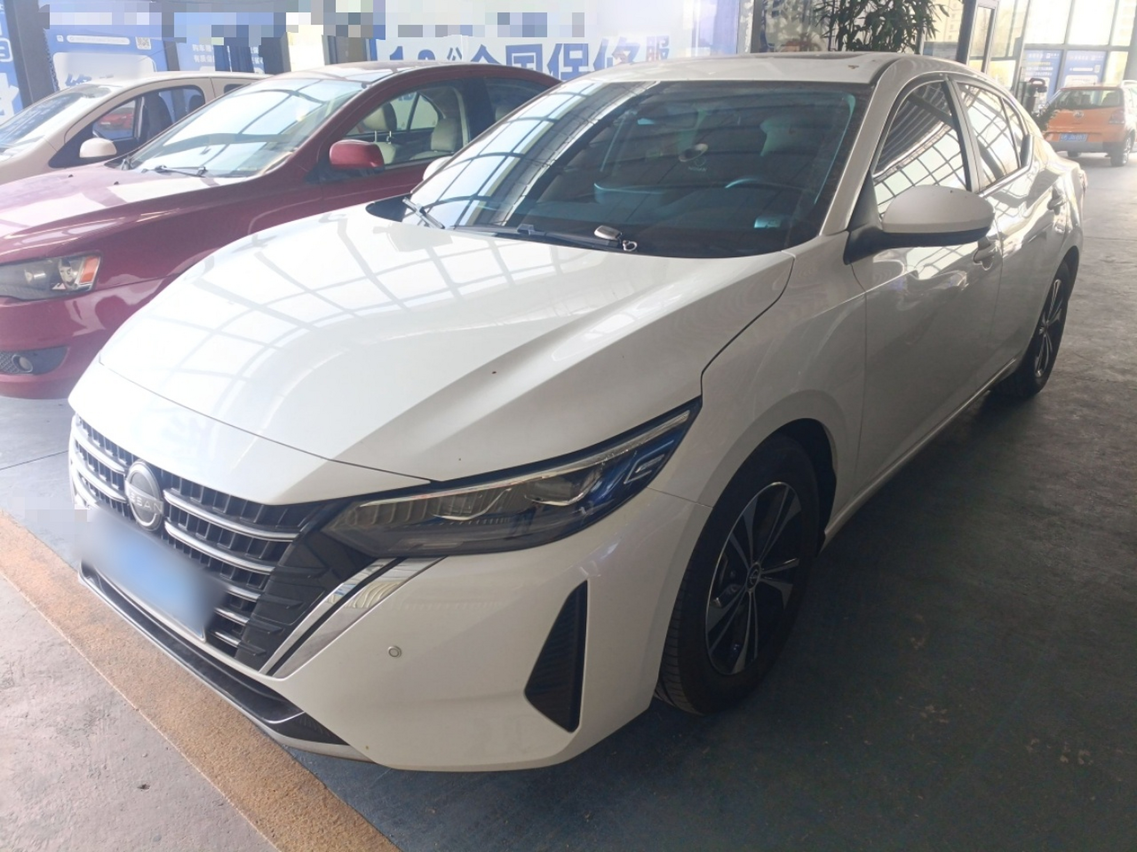 تحت مقدمة السيارة