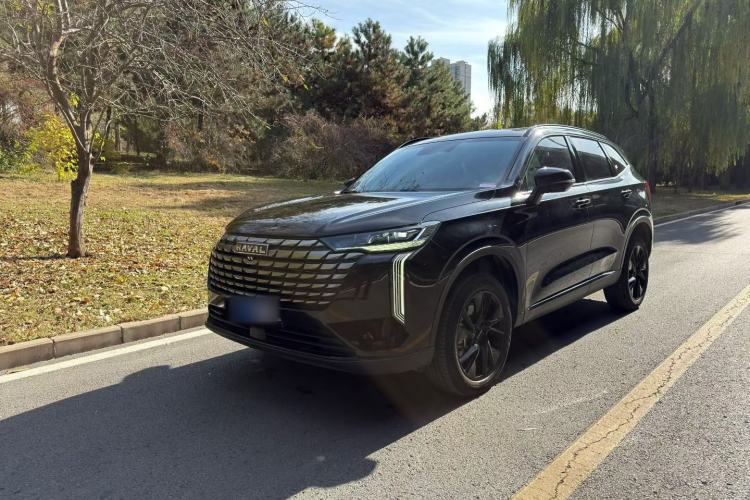 Used Haval H6 2024 1.5T Two-Wheel Drive Pro
