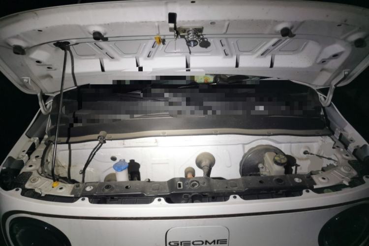 Used  Panda 2023 Panda Mini 200km Endurance Bear
