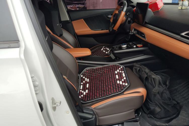 Used BYD e2 2021 Luxury Model
