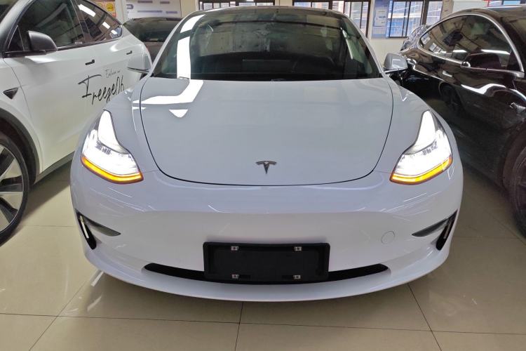 Used Tesla Model 3 (Import) 2019 Long-Range Rear-Wheel-Drive Version