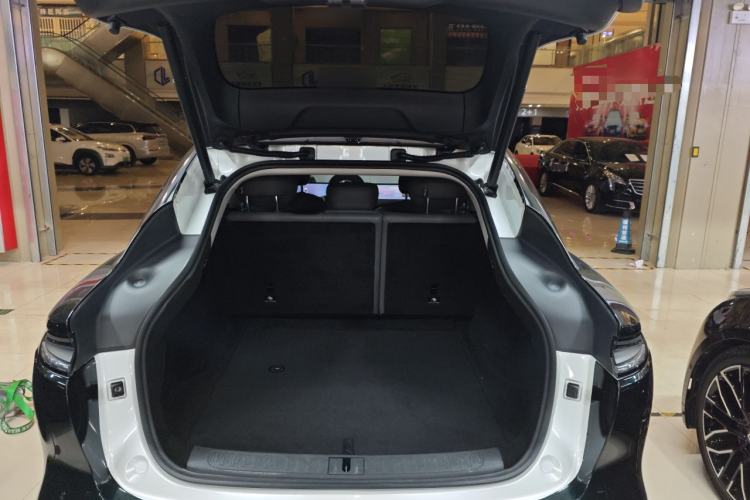 Used  LS6 2023 Max Extended-Range Version
