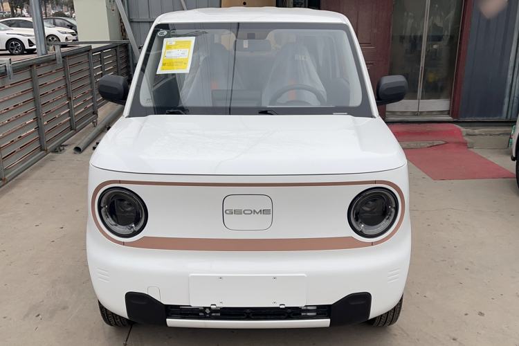 Used  Panda 2024 Panda Mini 200km Endurance Bear
