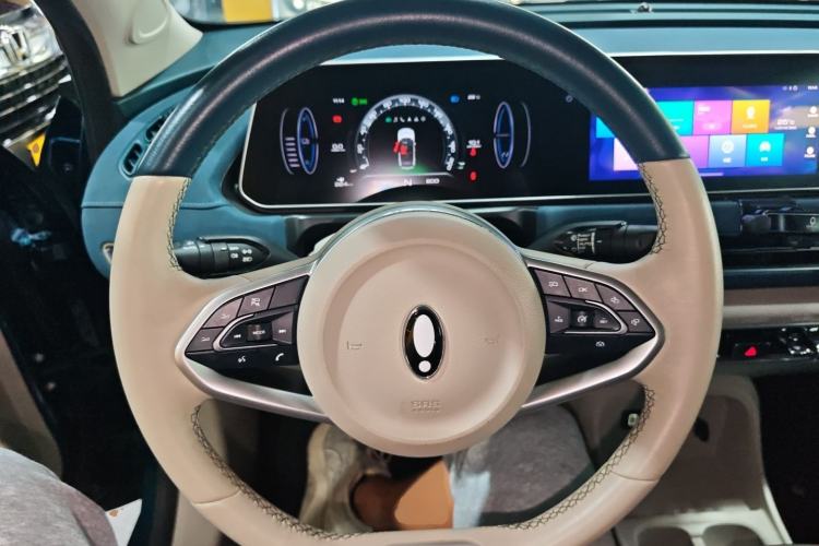 Used ORA Good Cat 2022 400km Standard Range Luxury Version Ternary Lithium
