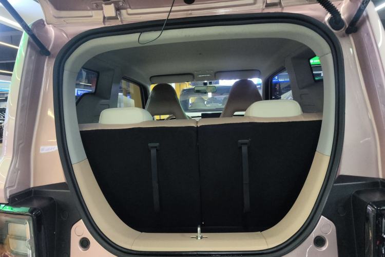 Used  Panda 2024 Panda Mini 200km Endurance Bear