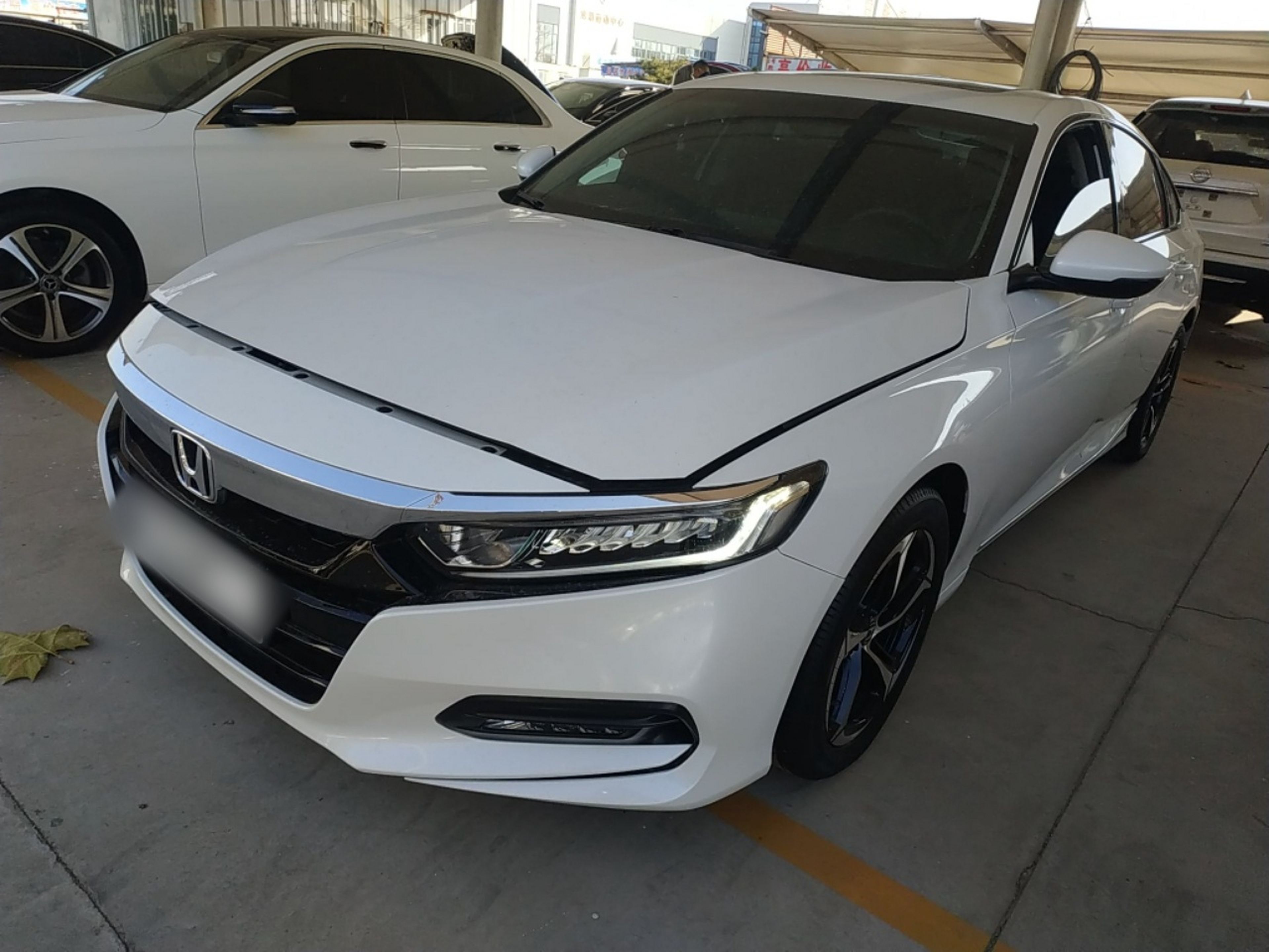 تحت مقدمة السيارة