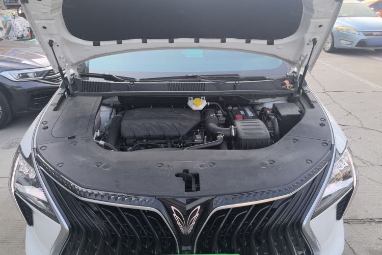 Used FORTHING Yacht 2022 1.5T DCT Chasing-the-Waves Edition