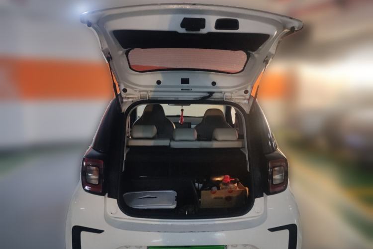 Used SOL E10X 2022 Flower Fairy Design Four-Leaf Clover
