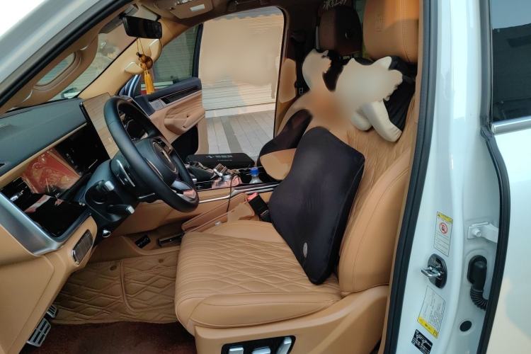 Used Tank 500 New Energy 2023 Hi4-T
