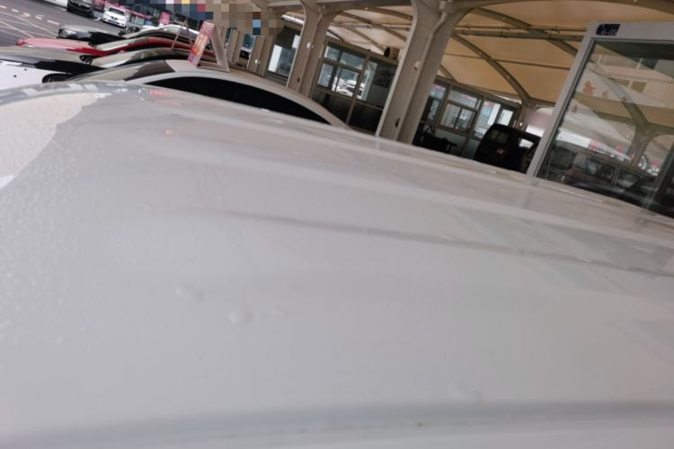 Used  Panda 2024 Panda Mini 200km Endurance Bear