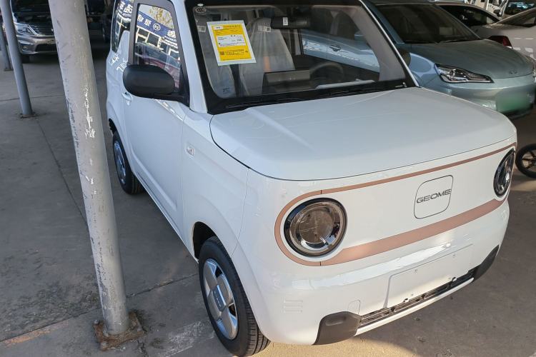 Used  Panda 2024 Panda Mini 200km Endurance Bear
