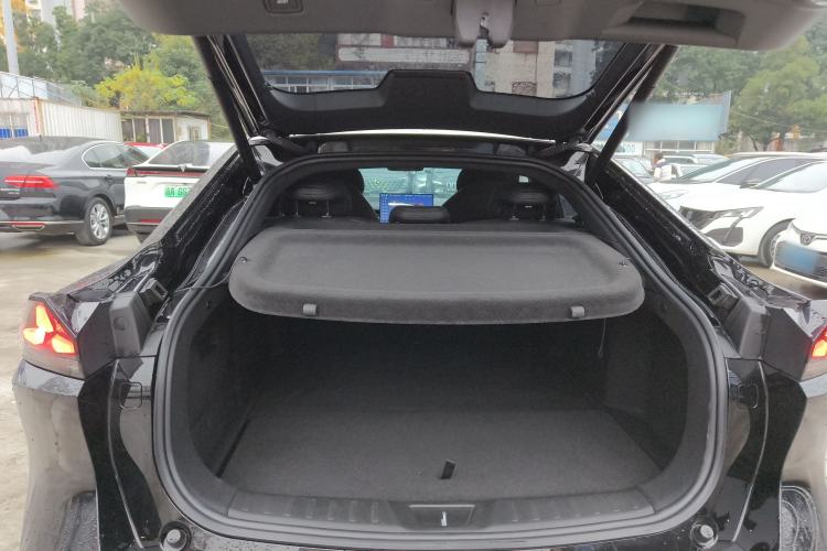 Used  L07 2024 230Max Range-Extended Version
