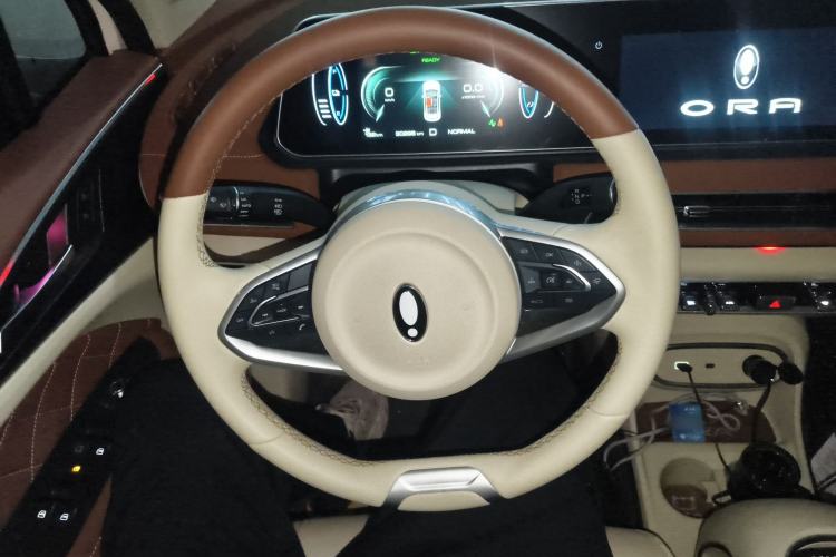 Used ORA Good Cat 2023 401 km Standard Range Luxury Version Lithium Iron Phosphate
