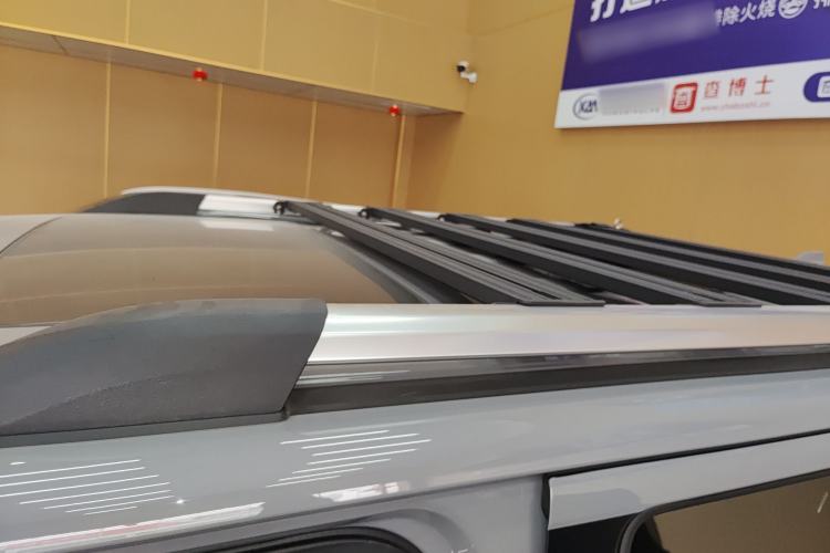 Used Tank 300 2023 City Edition 2.0T Essential Model