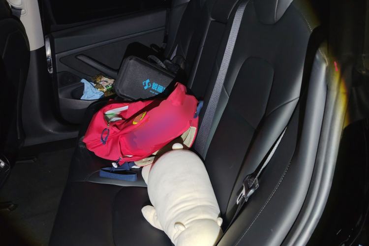 Used Tesla Model 3 2020 Revised Version Standard Range Rear-Wheel Drive – Upgraded Edition
