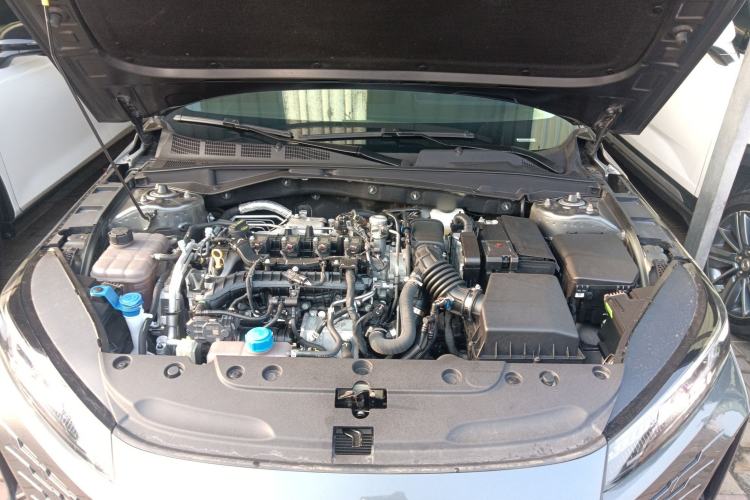 Used Changan Eado DD 2023 Blue Whale NE 1.5T GDI DCT Enjoy Edition
