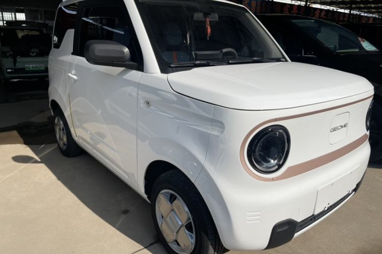 Used  Panda 2023 Panda Mini 200km Endurance Bear