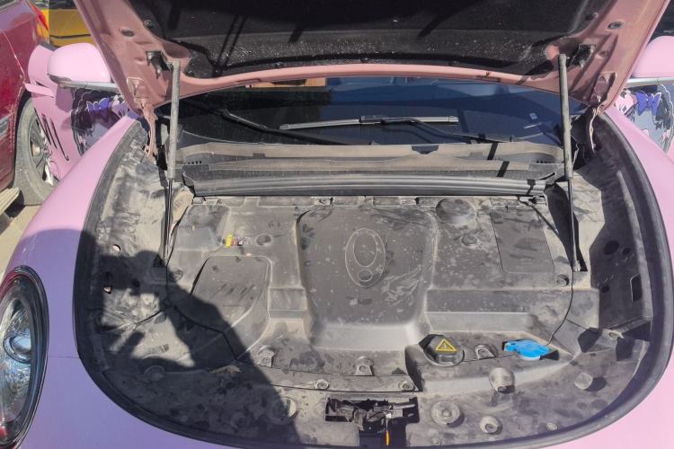 Used ORA Lightning Cat 2022 555 km Luxury Edition
