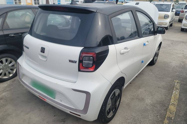 Used SOL E10X 2022 Flower Fairy Design Dandelion
