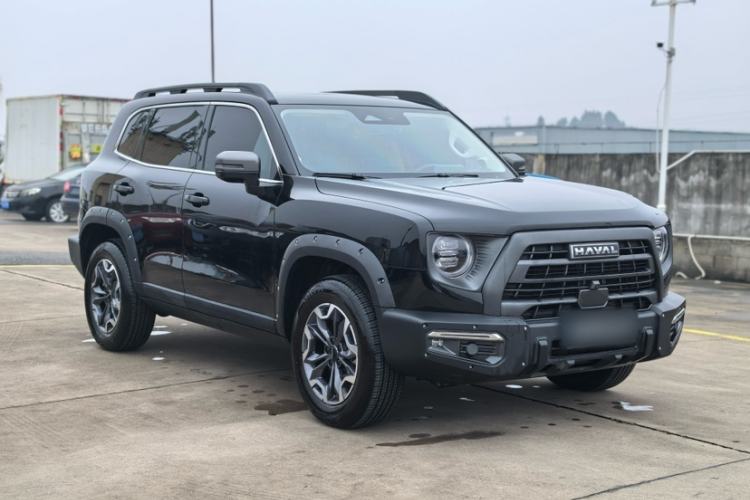 Used Haval DARGO 2024 2.0T DCT Chinese Rural Dog Edition