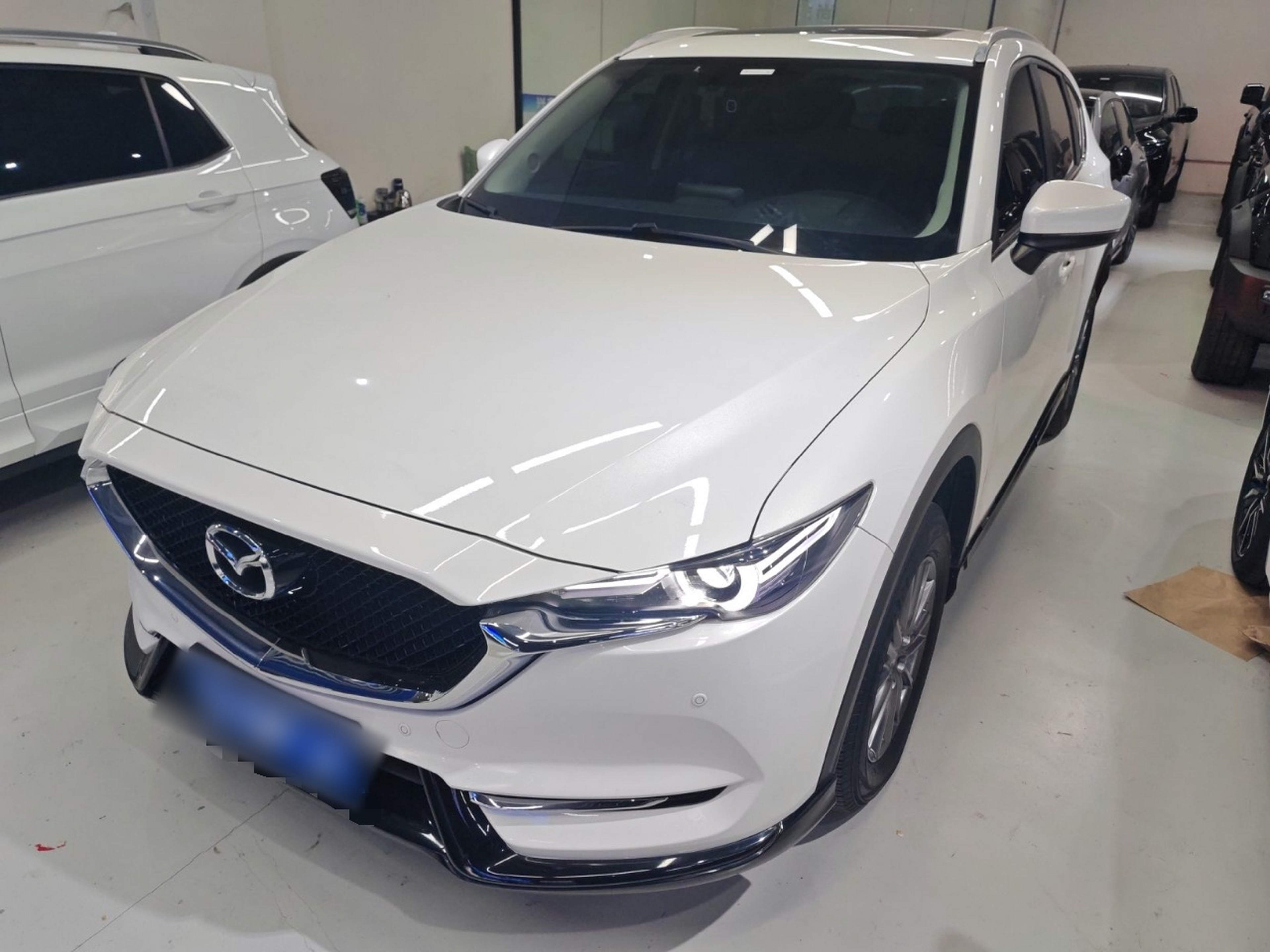 تحت مقدمة السيارة