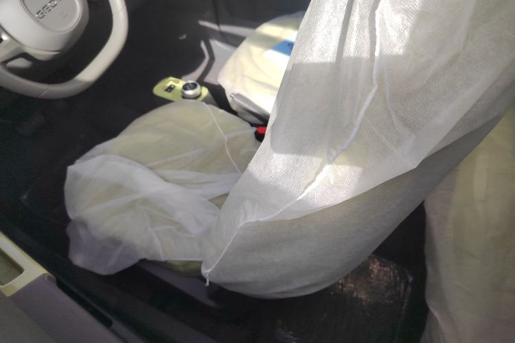 Used  Panda 2024 Panda Mini 200km Endurance Bear