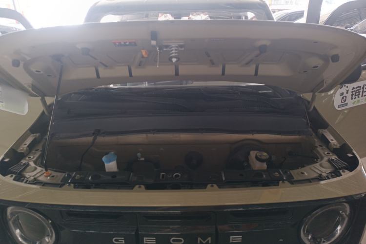 Used  Panda 2024 200km Panda Rider
