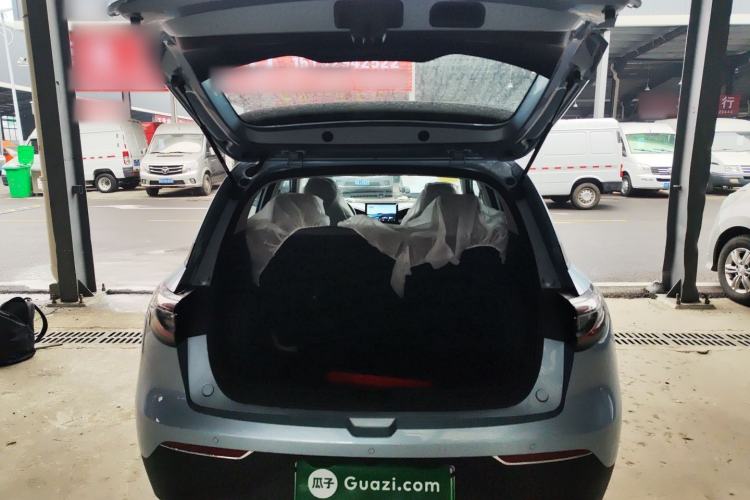 Used  Geome 2026 Model 310km Youth Edition
