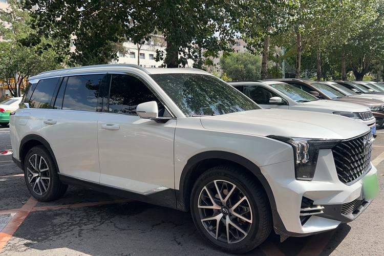 Used GAC Trumpchi GS8 2022 Linghang Series 2.0 TGDI Two-Wheel-Drive Luxury Smart Connectivity Version (7 Seats)
