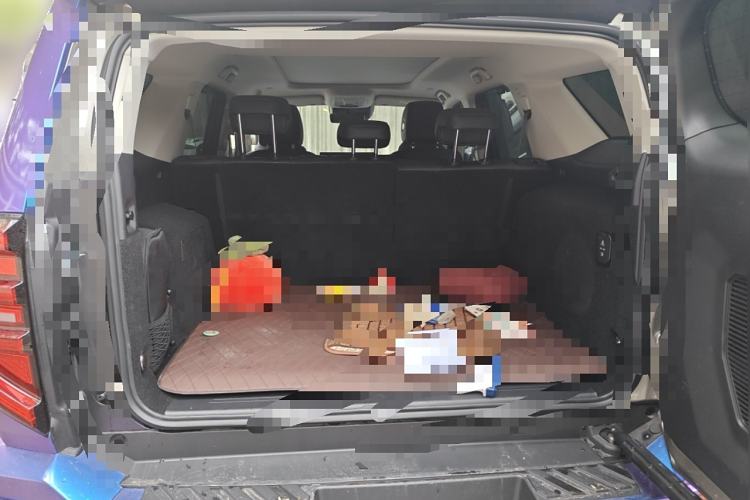 Used Tank 400 New Energy 2023 Hi4-T Super Edition
