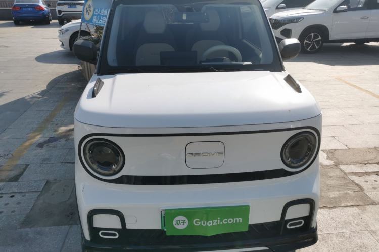 Used  Panda 2024 200km Panda Kart
