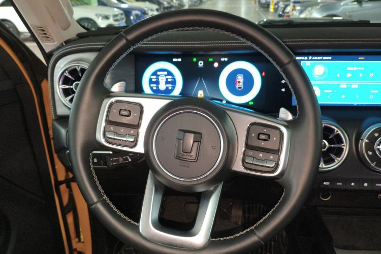 Used Tank 300 2022 2.0T Border Limited Edition
