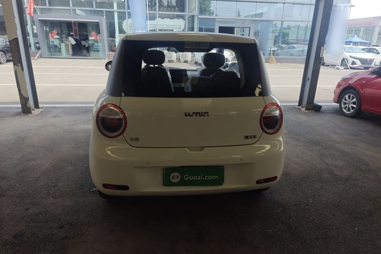 Used  Lumin 2023 205km Xiangqin Version
