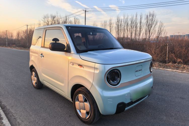 Used  Panda 2024 Panda Mini 200km Endurance Bear
