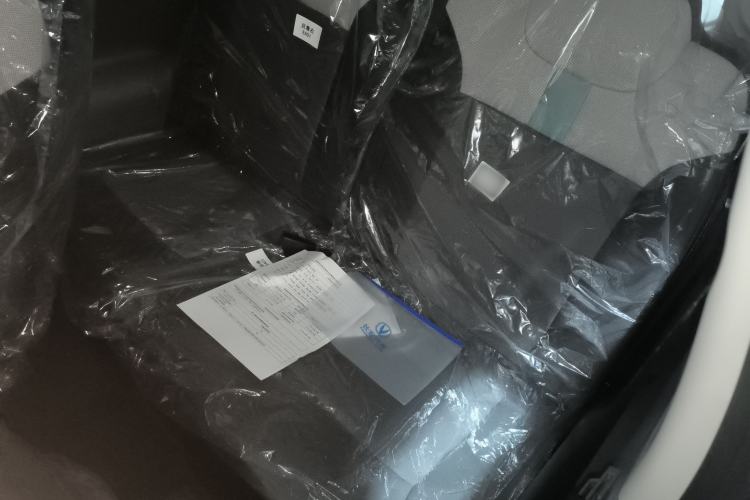 Used  Lumin 2025 205 km Xiangqin Version
