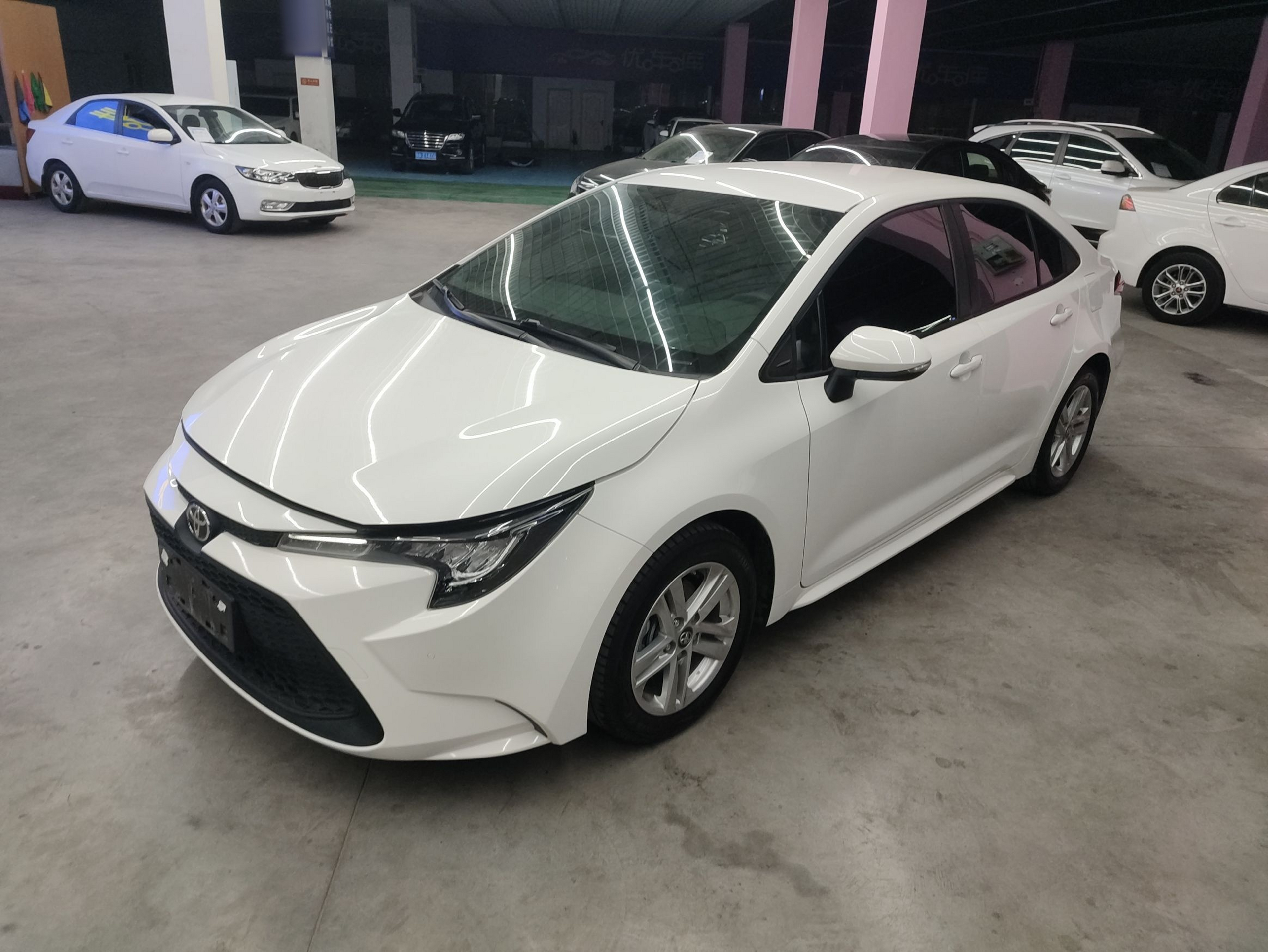 تحت مقدمة السيارة