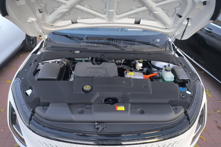 Used Wuling Xingguang 2025 70km Smart Standard Version
