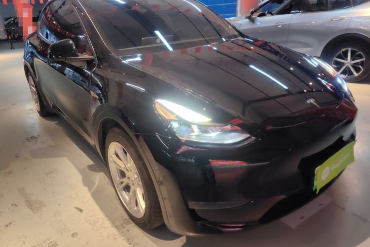 Used Tesla Model Y 2021 Standard Range Rear-Wheel Drive Version
