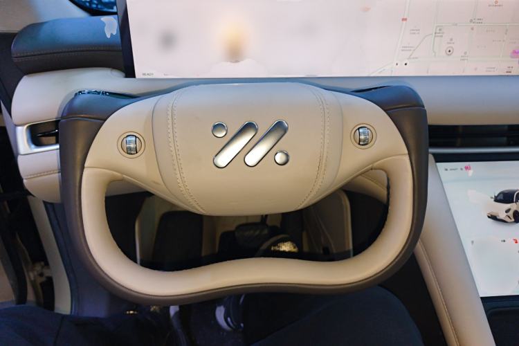 Used  LS6 2023 Max Long-Range Version
