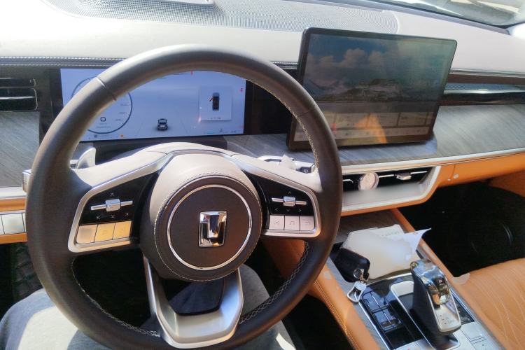 Used Tank 500 2023 3.0T Business Edition "Creation" Style 5 Seats
