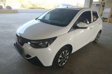 Used JMEV  2024 201km Comfort Version