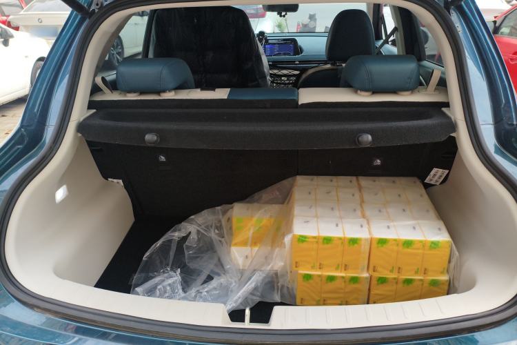 Used ORA Good Cat 2023 401 km Standard Range Premium Version Lithium Iron Phosphate
